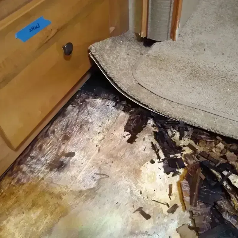 Wood Floor Water Damage in Lebanon, NJ